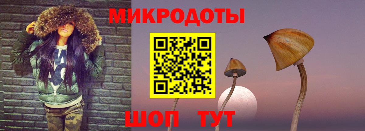 Новотроицк  Галлюциногенные грибы мицелий  Вход с VPN  Галлюциногенные грибы Psilocybe 